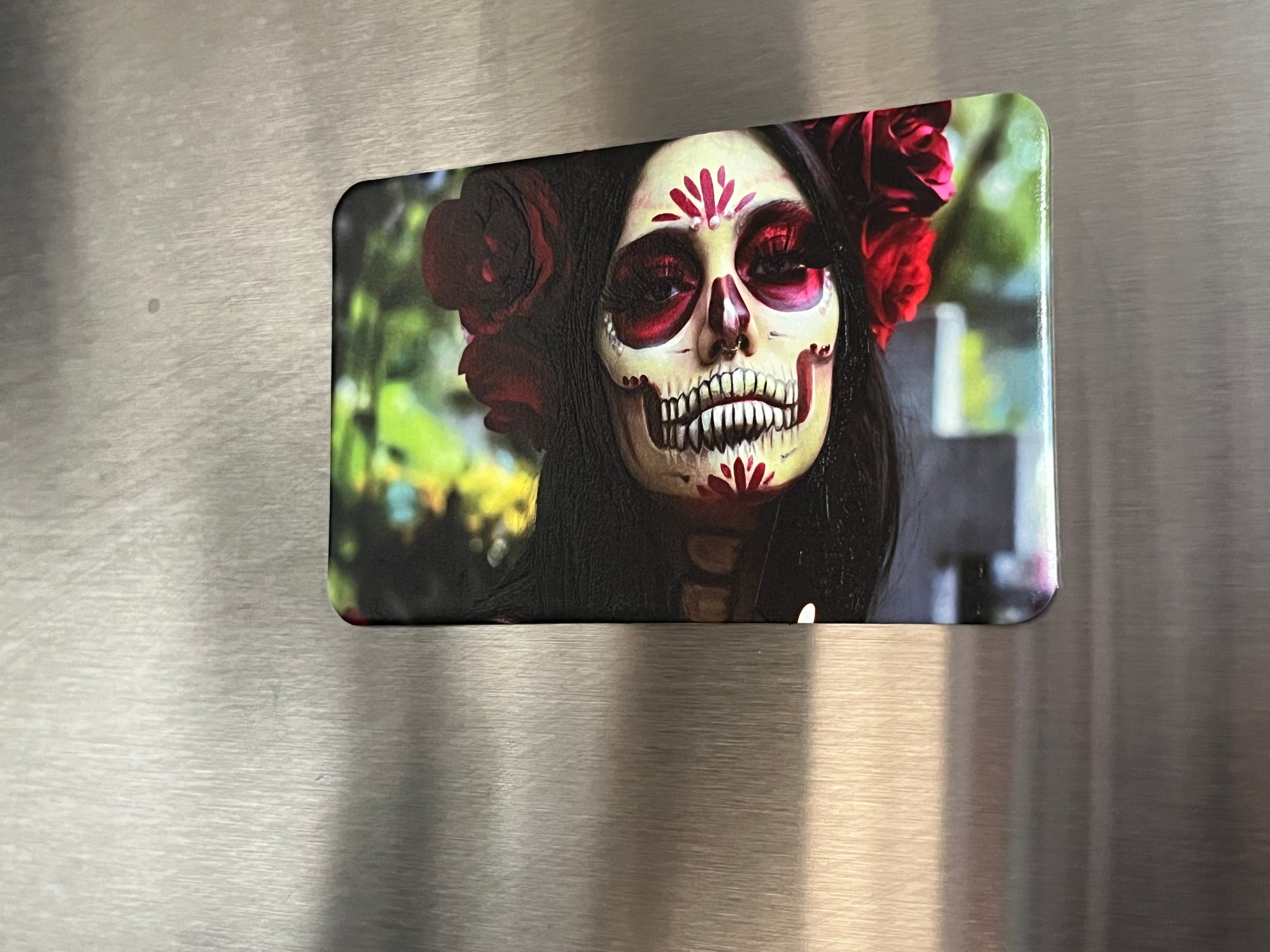 Magnets Rectangle
